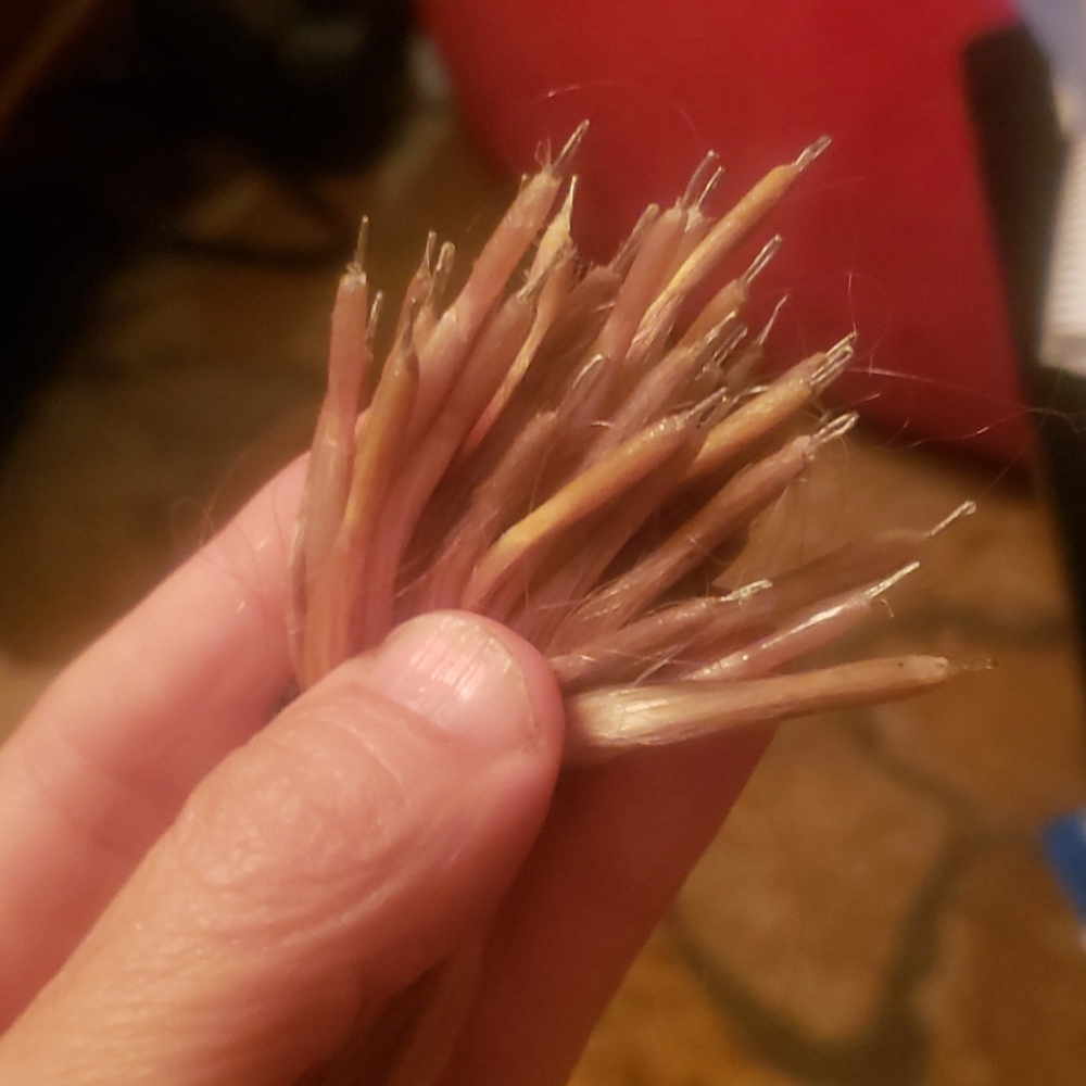 Hair Extensions